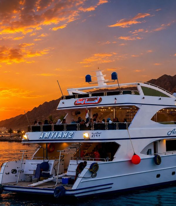 Crociera serale privata con cena a Sharm El Sheikh<br/><br/>